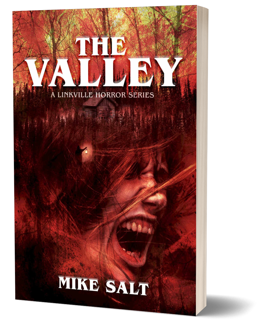 The Valley: A Linkville Horror Series